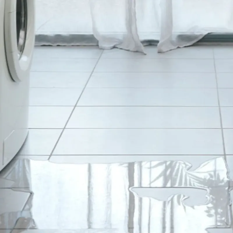 Appliance Leak Cleanup in Woodville, CA