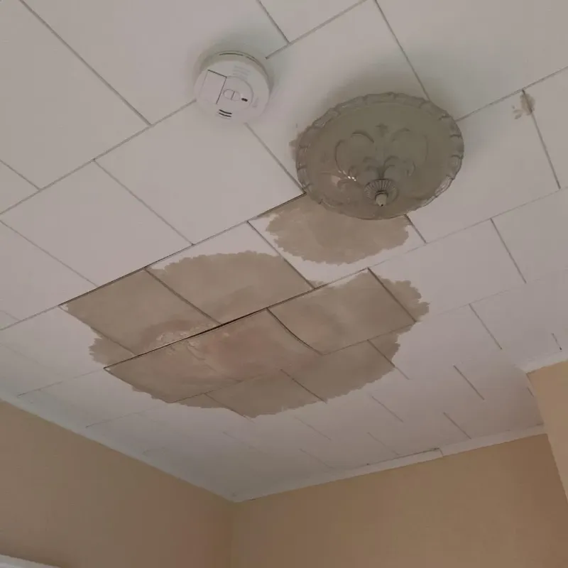Ceiling Water Damage Repair in Woodville, CA
