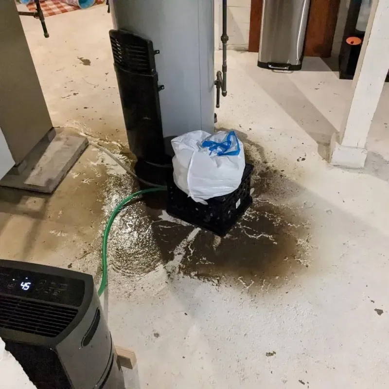 Sewage Backup Cleanup Service in Woodville, CA